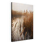 Tableaux Des roseaux dans l'eau