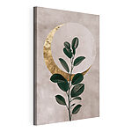 Tableaux Plante avec des feuilles et une lune
