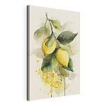 Tableaux Aquarelle représentant des citrons sur une branche