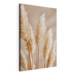 Tableaux Groupe de plantes blanches