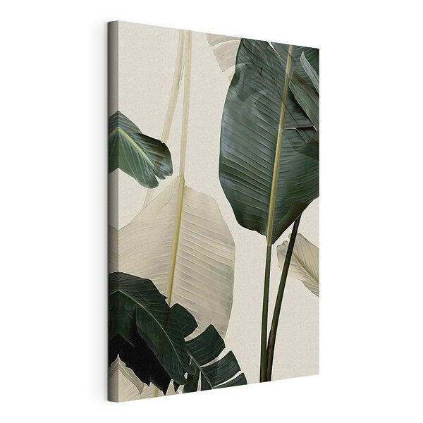 Feuilles de bananier dans une lumière douce Tableaux Feuilles de bananier dans une lumière douce