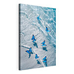 Tableaux Groupe de papillons bleus flottant sur l'eau