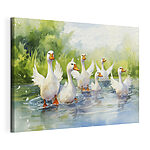 Tableaux Groupe de canards blancs nageant dans l'eau