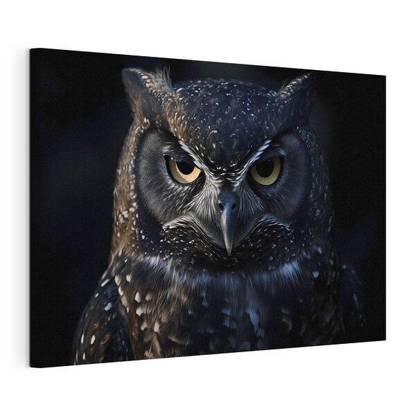 Tableaux Tableaux Des yeux mystérieux percent l'obscurité (UGS : s40271)