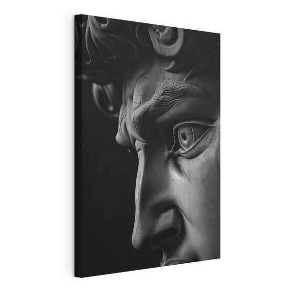 Tableaux Statue d'un visage d'homme (UGS : s26124) Tableaux Tableaux Statue d'un visage d'homme (UGS : s26124)