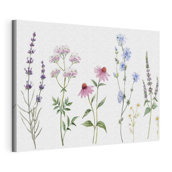 Groupe de fleurs sur fond blanc Tableaux Groupe de fleurs sur fond blanc