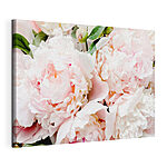 Tableaux Pivoines rose tendre en fleur