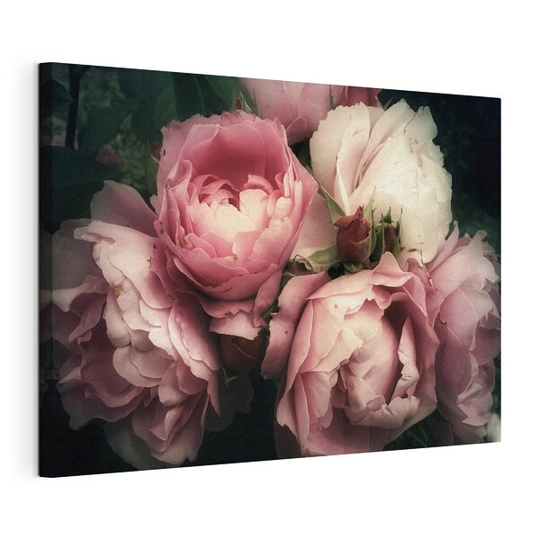 Une beauté florissante dans des teintes roses douces Tableaux Une beauté florissante dans des teintes roses douces