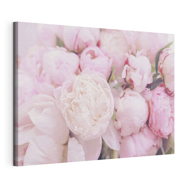 Pivoines rose tendre en fleur Tableaux Pivoines rose tendre en fleur