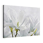 Tableaux Le magnolia blanc fleurit au printemps