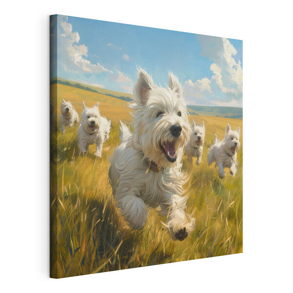 Groupe de chiens blancs courant dans un champ Tableaux Groupe de chiens blancs courant dans un champ
