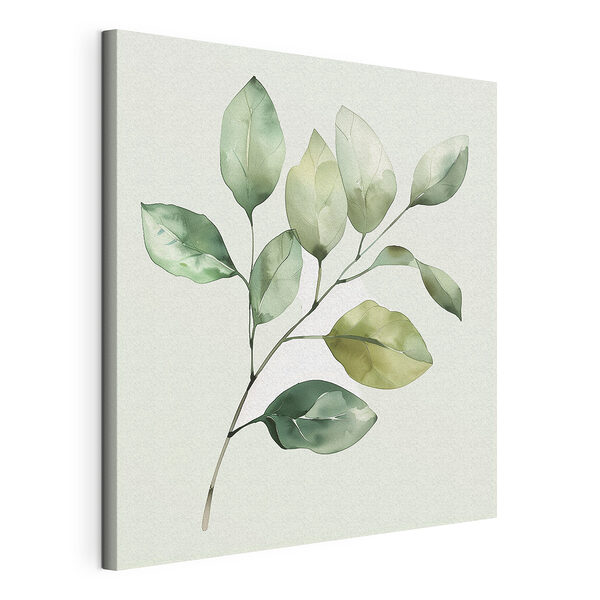 Plante verte feuillue sur fond blanc Tableaux Plante verte feuillue sur fond blanc