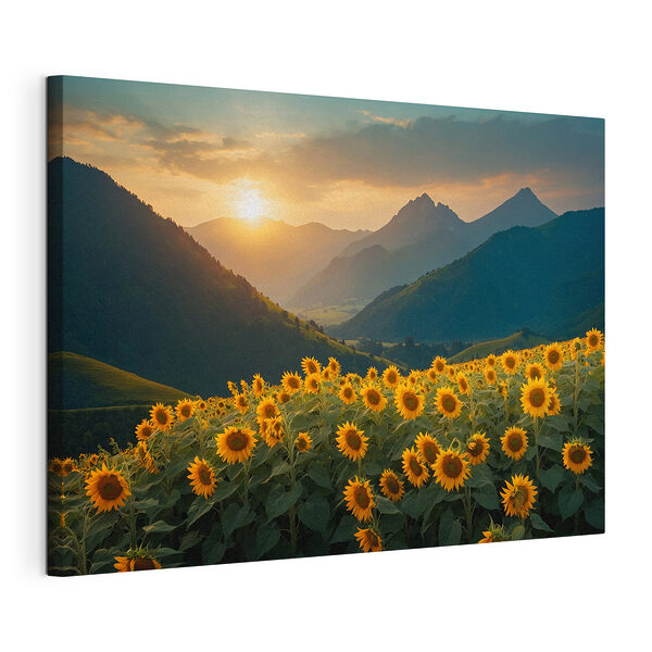 Champ de tournesols en montagne Tableaux Champ de tournesols en montagne