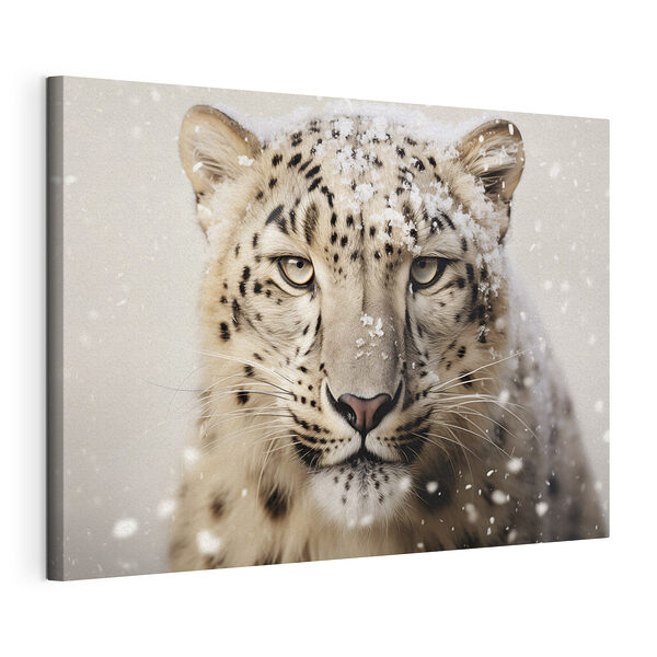 Tableaux Léopard des neiges avec de la neige sur la tête