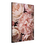 Tableaux Groupe de fleurs roses