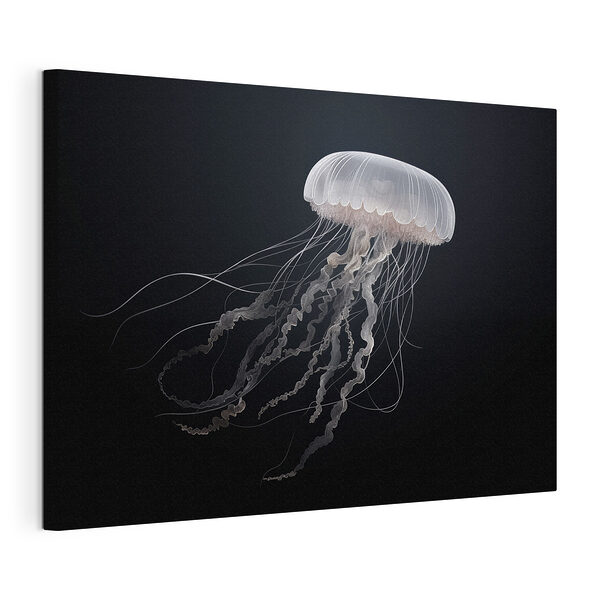 Méduses à longs tentacules Tableaux Méduses à longs tentacules