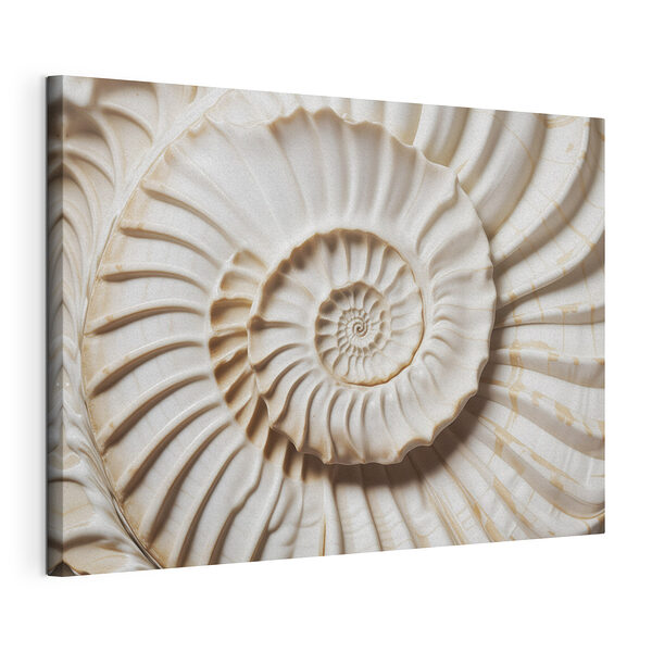 Motifs naturels dans un coquillage Tableaux Motifs naturels dans un coquillage