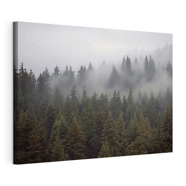 Groupe d'arbres avec brouillard Tableaux Groupe d'arbres avec brouillard