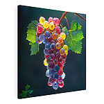 Tableaux Grappe de raisins colorés avec des gouttes d'eau sur eux