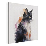 Tableaux Chat au visage blanc et noir
