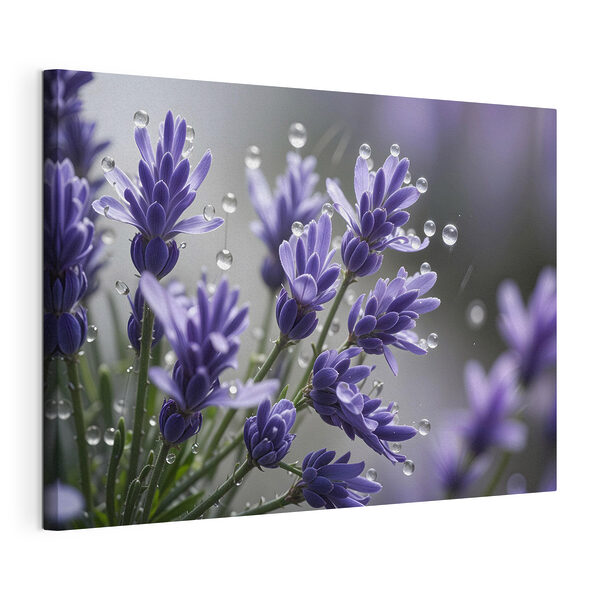 Fleurs délicates embrassées par des gouttelettes Tableaux Fleurs délicates embrassées par des gouttelettes