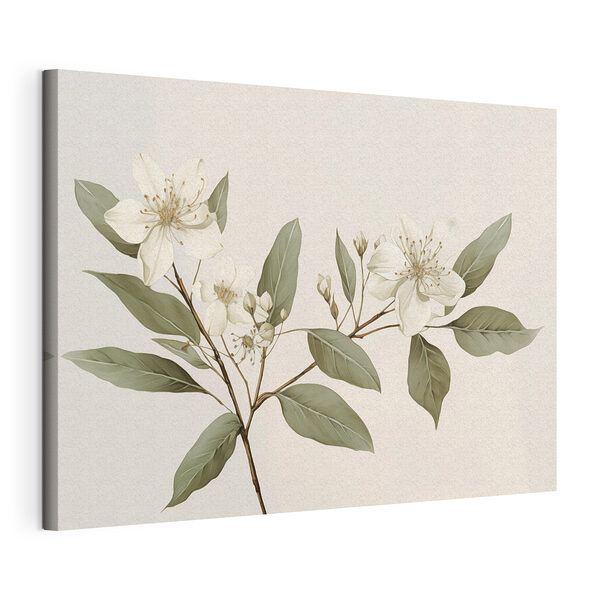 Tableaux Fleurs et feuilles blanches sur une branche