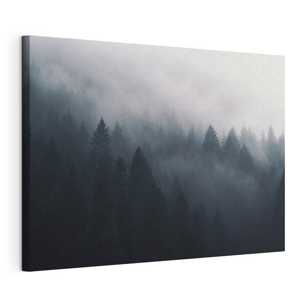 Forêt brumeuse avec des arbres Tableaux Forêt brumeuse avec des arbres