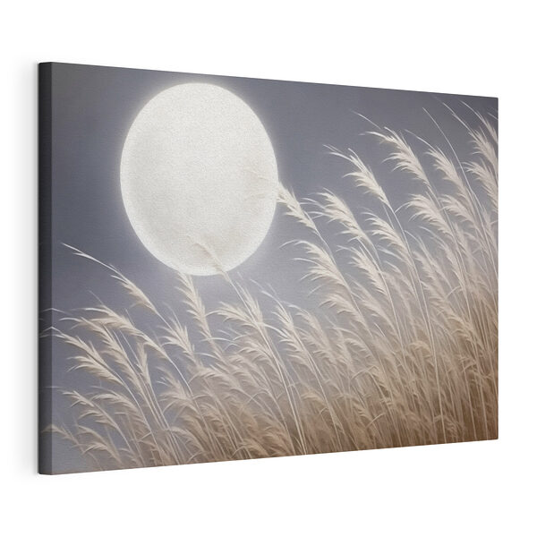 Tableaux La lune dans le ciel