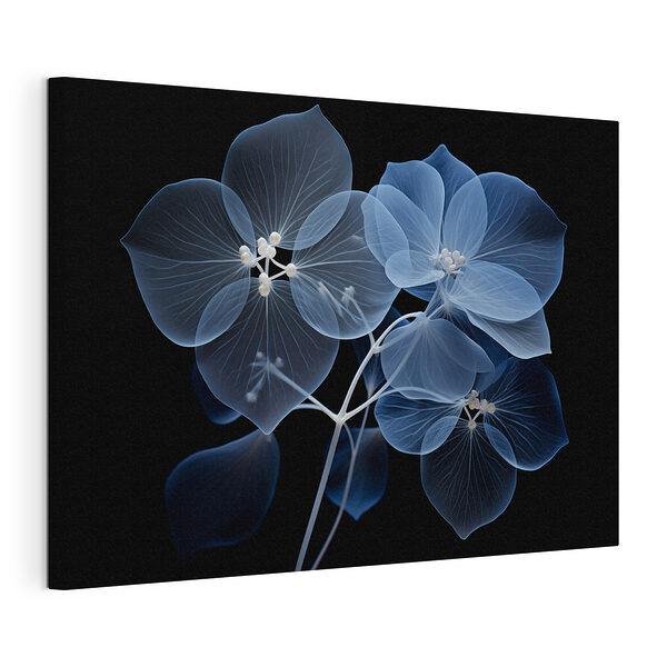 Pétales délicats sur fond sombre Tableaux Pétales délicats sur fond sombre
