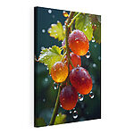 Tableaux Grappe de raisins avec des gouttes d'eau dessus