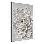 Tableaux Fleur blanche avec feuilles