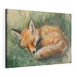 Tableaux Renard dormant dans l'herbe