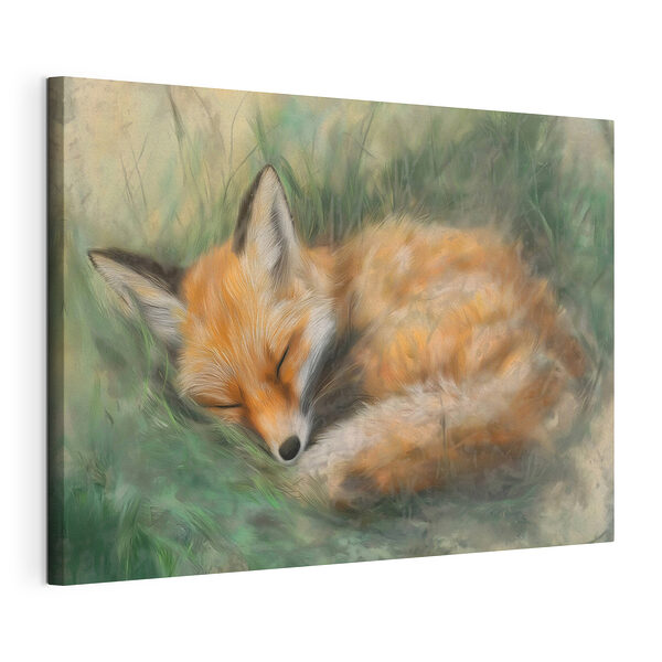 Tableaux Renard dormant dans l'herbe