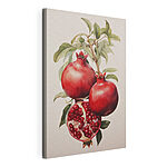 Tableaux Peinture de grenades et d'un fruit coupé ouvert