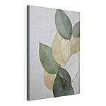Tableaux Groupe de feuilles sur une surface blanche