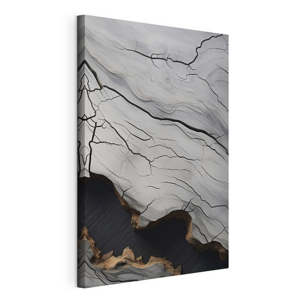 Tableaux Surface craquelée blanche et noire