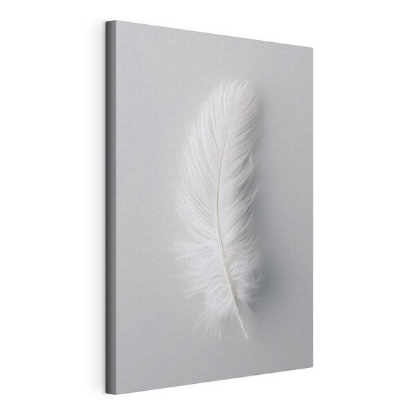 Tableaux Une plume blanche sur fond blanc