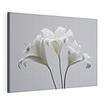 Tableaux Bouquet de fleurs blanches