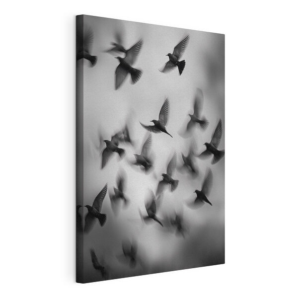 Une volée d'oiseaux volant dans le ciel Tableaux Une volée d'oiseaux volant dans le ciel