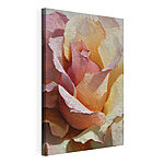 Tableaux Des fleurs délicates aux teintes pastel douces