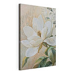 Tableaux Peinture représentant une fleur blanche