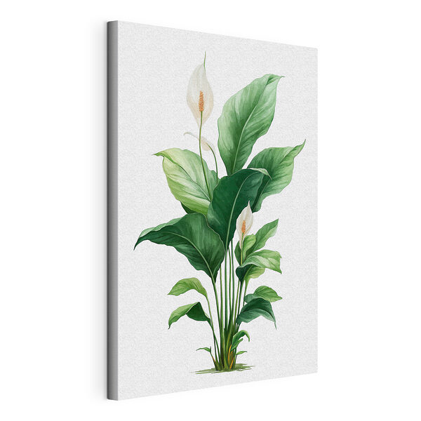 Plante aux fleurs blanches et aux feuilles vertes Tableaux Plante aux fleurs blanches et aux feuilles vertes