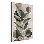 Tableaux Plante avec des feuilles et des cercles