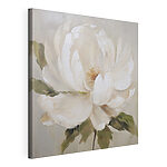 Tableaux Peinture représentant une fleur blanche