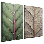 Impression sur toile modulaire Des feuilles aux couleurs éclatantes qui mettent en valeur les créations de la nature