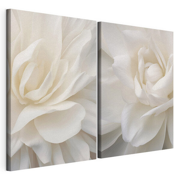 Impression sur toile modulaire Des fleurs délicates aux nuances de blanc tendre