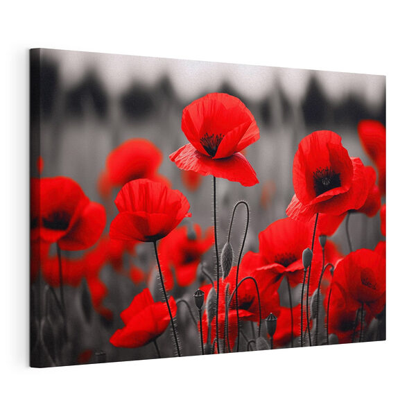 Bouquet de fleurs rouges Tableaux Bouquet de fleurs rouges