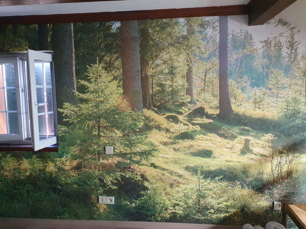 Image #1 à partir de Lucie Andolfatto